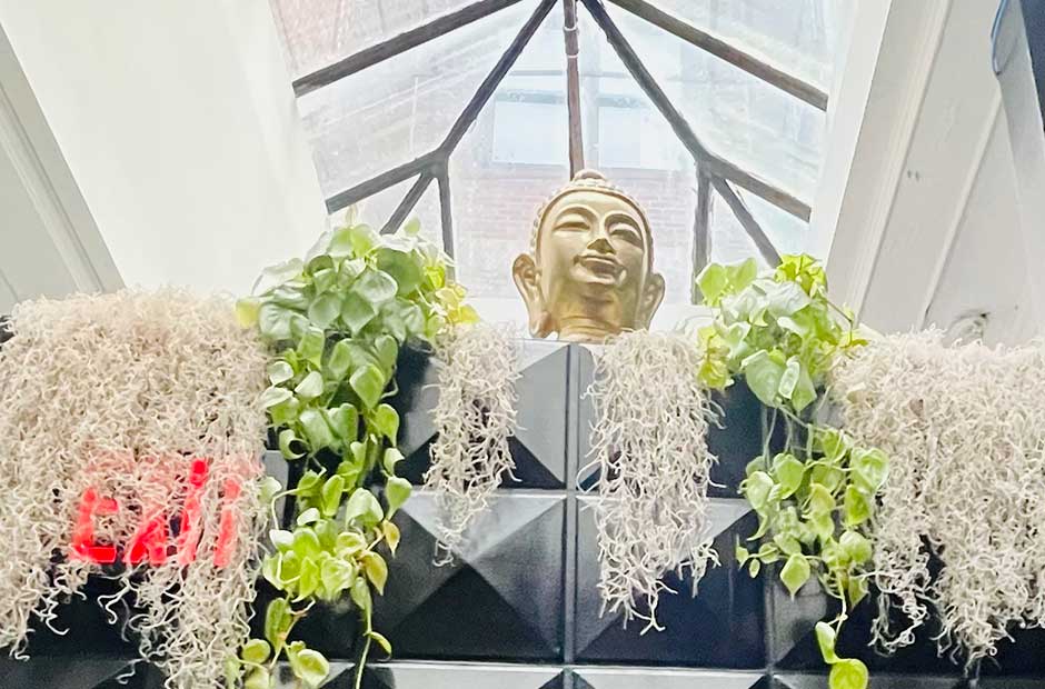 Buddha head and plants